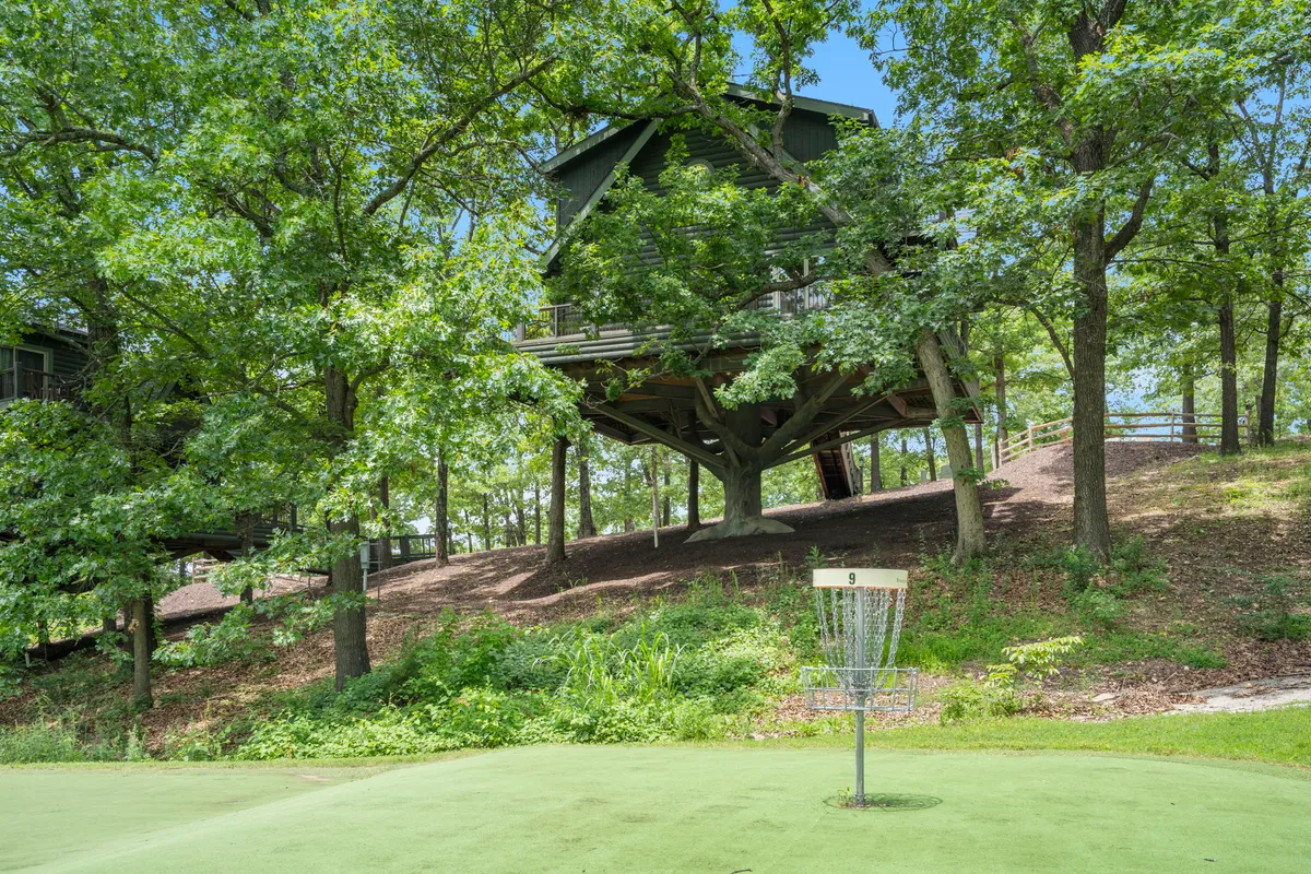 A playful exterior view featuring a disc golf basket nestled in lush greenery, with a charming treehouse nearby. The area is bright and open, inviting guests to engage in disc golf or enjoy a family gathering surrounded by nature.