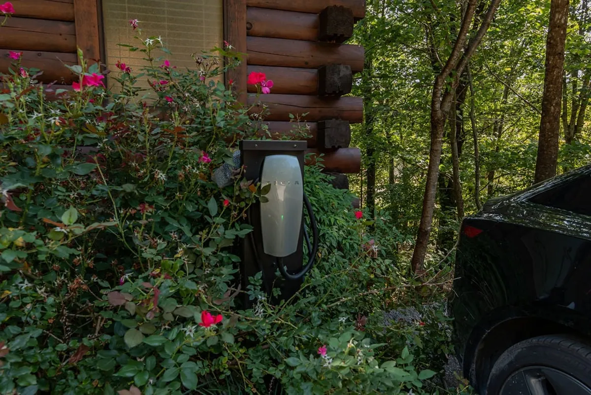 This image features an electric vehicle charger located beside the Lone Star Cabin, with blooming roses and the rustic log cabin exterior visible. The serene setting combines modern sustainability (the EV charger) with a peaceful, natural environment.