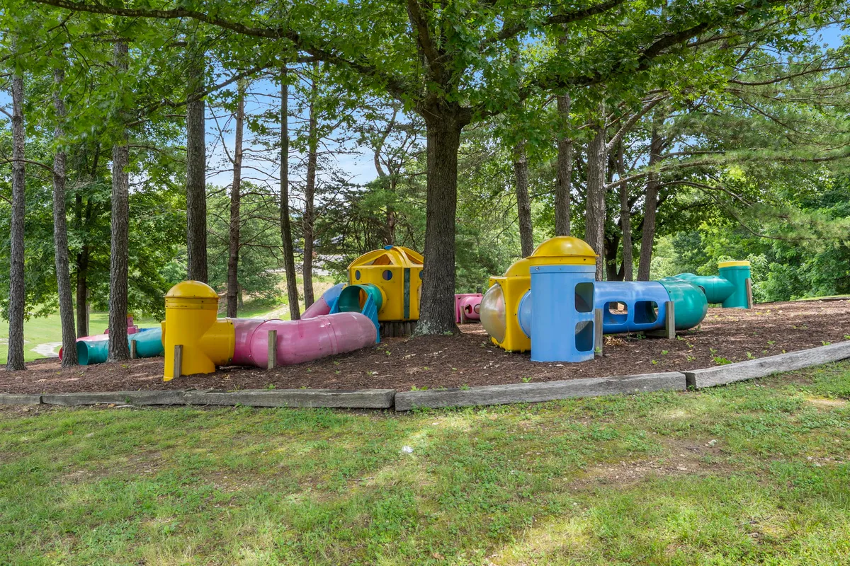 A colorful playground sits beneath a large tree, surrounded by green grass and open space. The scene is filled with the promise of children's laughter and active play, ideal for family gatherings and picnics.