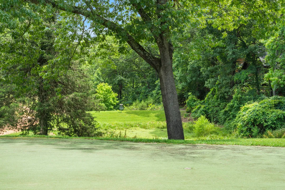 An expansive open grassy area dotted with mature trees and lush greenery, ideal for outdoor activities. The peaceful setting is perfect for leisurely walks, nature play, or relaxing with a pet. Elements such as a sunset, picnic, or nature exploration add to the inviting, dog-friendly atmosphere.